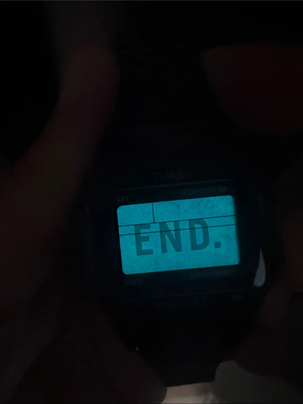 END. x Timex T80 Everyday Watch